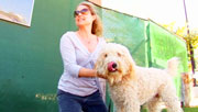 Pawnation Pet on the Street Celebrity